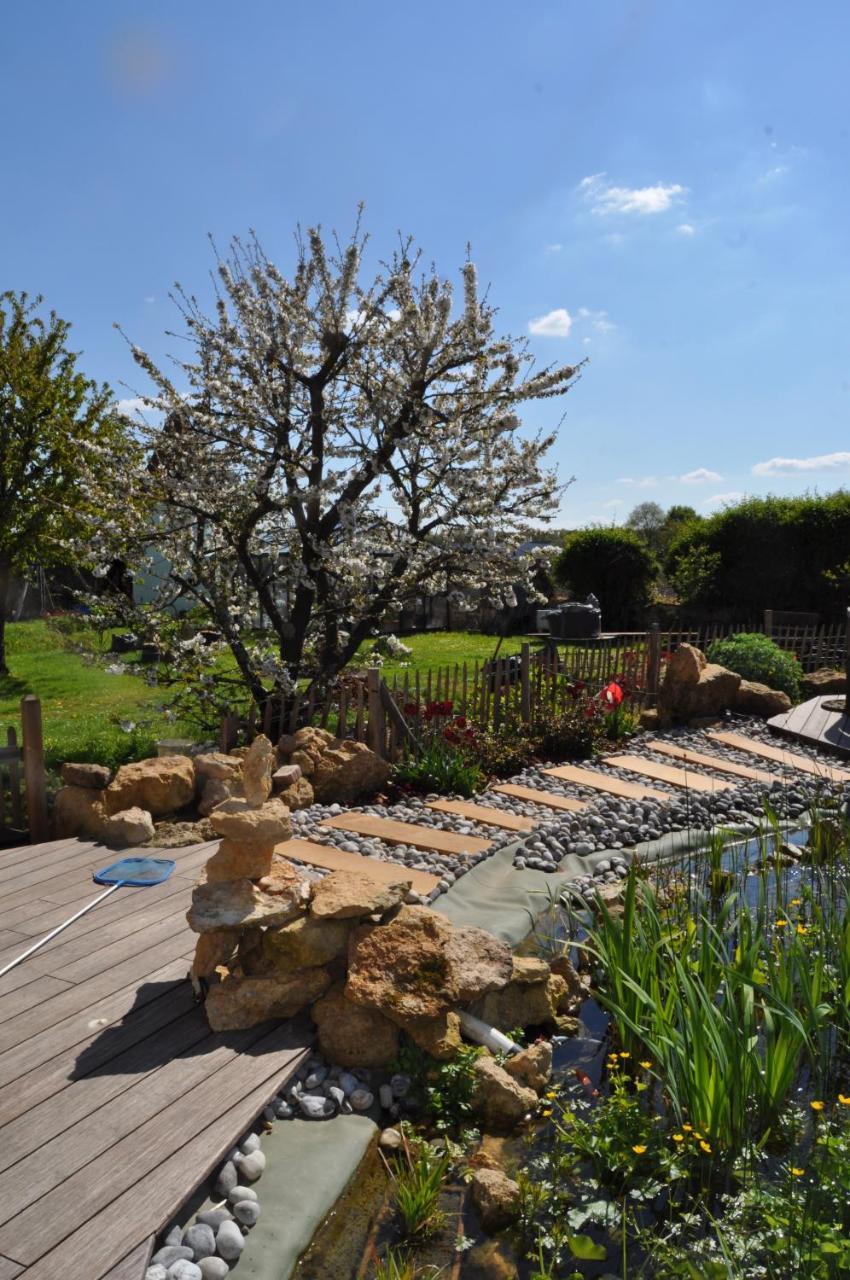 Maison D'Hotes Les Rainettes Breuillet  Esterno foto