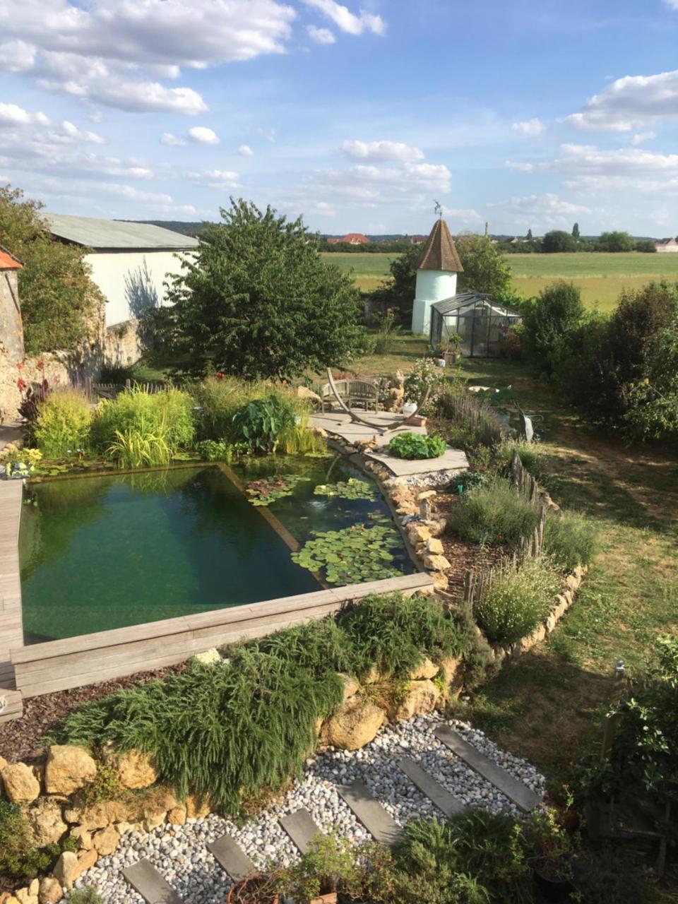 Maison D'Hotes Les Rainettes Breuillet  Esterno foto