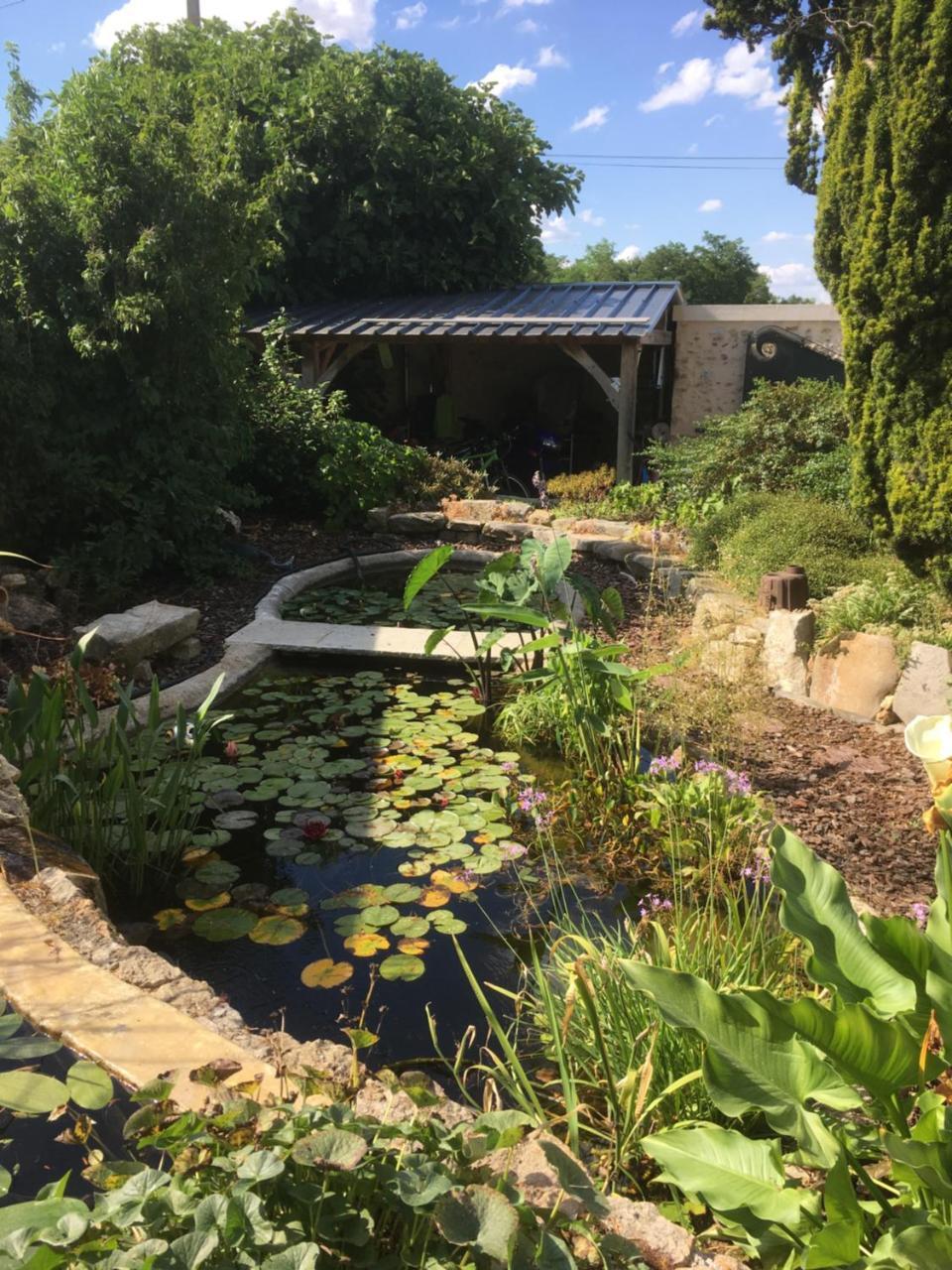 Maison D'Hotes Les Rainettes Breuillet  Esterno foto
